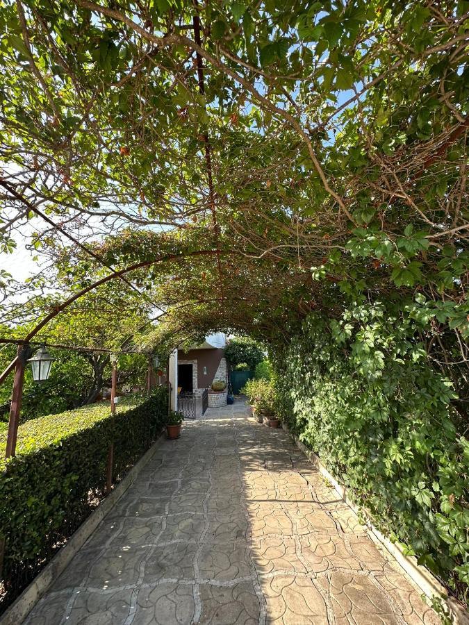 Villa Mariuccia Szirakúza Kültér fotó